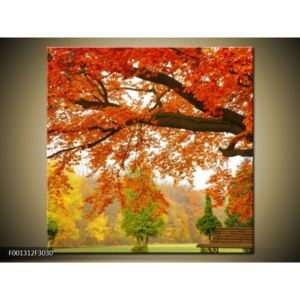Krásný obraz podzimního parku (30x30 cm)