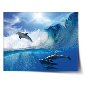 Plakát SABLO - Delfíni ve vlnách 60x40 cm