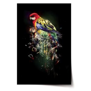 Plakát SABLO - Barevný papoušek 90x60 cm