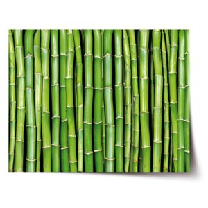 Plakát SABLO - Bambus 120x80 cm
