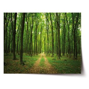 Plakát SABLO - Cesta v lese 90x60 cm