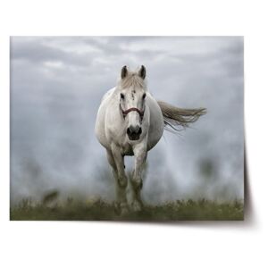 Plakát SABLO - Bílý kůň 3 120x80 cm