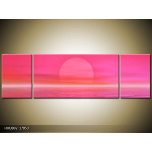 Obraz růžového západu slunce (F003992F17050)