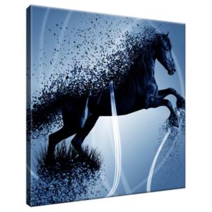 Obraz na plátně Modrý kůň - Jakub Banas 30x30cm 3574A_1AI