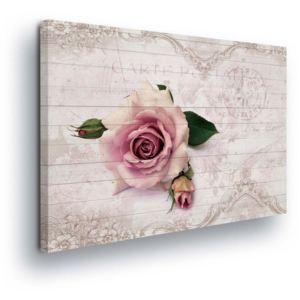 Obraz na plátně - Růžová Růže 100x75 cm