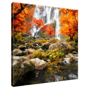 Obraz na plátně Podzimní vodopád 30x30cm 2335A_1AI