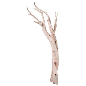 Dekorativní dřevěná větev 210cm
