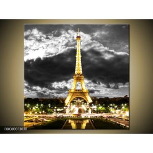 Obraz noční Eiffelovy věže v Paříži (F003003F3030)