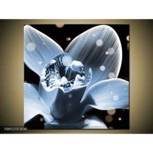 Obraz světle modré květiny (F005125F3030)