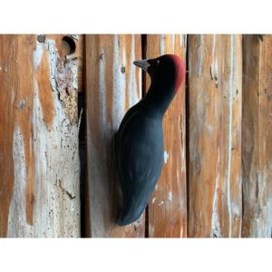 Ptáček na zeď - datel černý Keramika Andreas