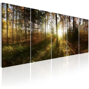 Murando DeLuxe Obraz lesní ráno Velikost (šířka x výška): 150x60 cm