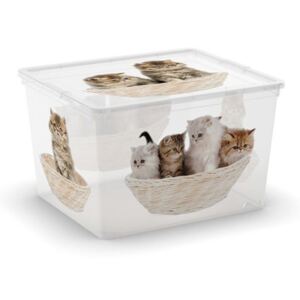 C Box Puppy & Kitten Cube 27l