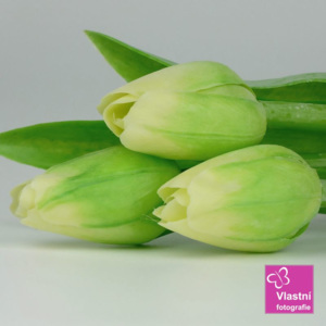 Francouzský umělý tulipán č. 13 - světle zelený