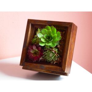 Dřevěný květináč - živý obraz na sukulenty se stojánkem Classic