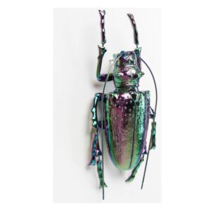 KARE DESIGN Sada 2 ks Nástěnná dekorace Longicorn Beetle Rainbow, Vemzu