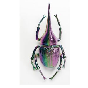 KARE DESIGN Nástěnná dekorace Herkules Beetle Rainbow, Vemzu