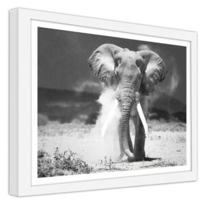 CARO Obraz v rámu - Elephant 30x30 cm Bílá