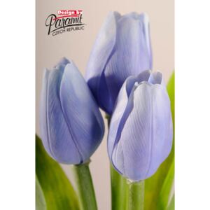 Paramit Umělý tulipán světle modrý