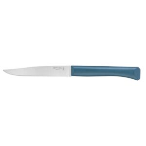 OPINEL Bon Appetit steakový nůž s polymerovou rukojetí, tyrkysový, čepel 11 cm