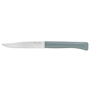 OPINEL Bon Appetit steakový nůž s polymerovou rukojetí, šalvějový, čepel 11 cm