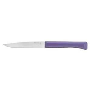 OPINEL Bon Appetit steakový nůž s polymerovou rukojetí, fialový, čepel 11 cm