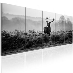 Obraz Jelen černobílý + háčky a hřebíčky ZDARMA Velikost (šířka x výška): 125x50 cm