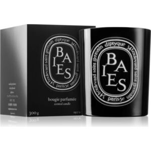 Diptyque Colored Baies vonná svíčka 300 g