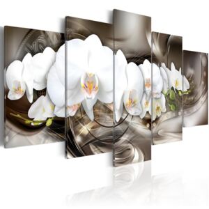 Obraz orchidej Brown + háčky a hřebíčky ZDARMA Velikost (šířka x výška): 100x50 cm