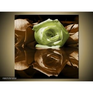 Obraz růží na vodě - zelená hnědá (F002535F3030)