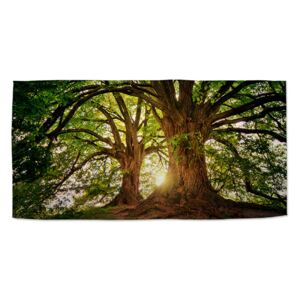 Ručník SABLO - Stromy 50x100 cm