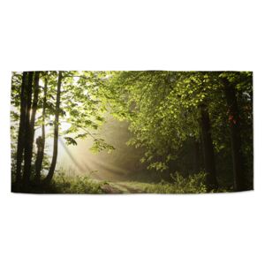 Ručník SABLO - Lesní cesta 30x50 cm
