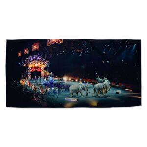Ručník SABLO - Cirkus 50x100 cm