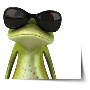 Plakát SABLO - Žába v brýlích 60x40 cm