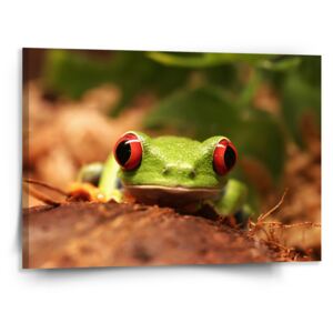 Obraz SABLO - Zelená žába 110x50 cm