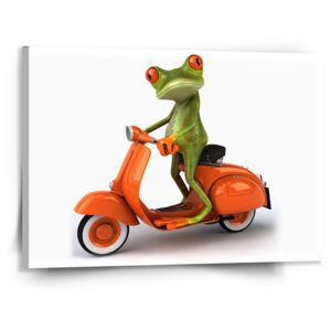 Obraz SABLO - Žába na motorce 50x50 cm