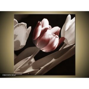 Obraz červeného květu tulipánu (F002505F3030)