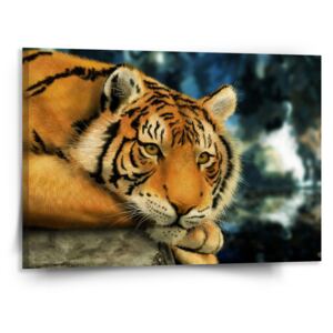 Obraz SABLO - Tygr 110x110 cm