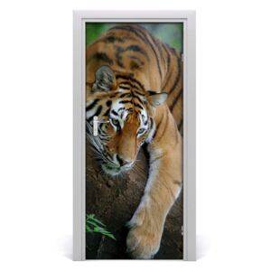 Samolepící fototapeta na dveře tygr na stromě