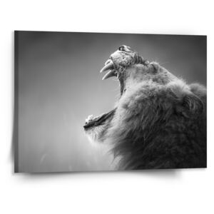 Obraz SABLO - Řvoucí lev 110x110 cm