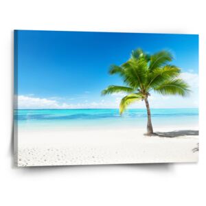 Obraz SABLO - Palma na pláži 50x50 cm
