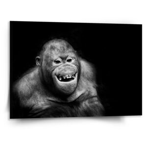 Obraz SABLO - Orangutan 110x110 cm