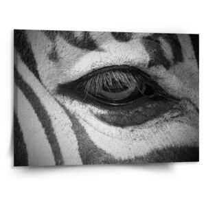 Obraz SABLO - Oko zebry 110x110 cm