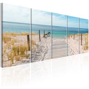 Vícedílný obraz cesta na pláž + háčky a hřebíčky ZDARMA Velikost (šířka x výška): 125x50 cm