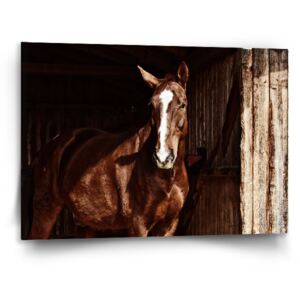 Obraz SABLO - Kůň ve stáji 50x50 cm