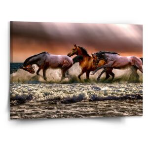 Obraz SABLO - Koně ve vodě 50x50 cm