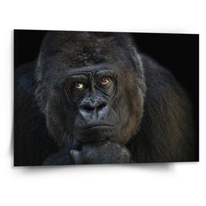 Obraz SABLO - Gorila 110x110 cm