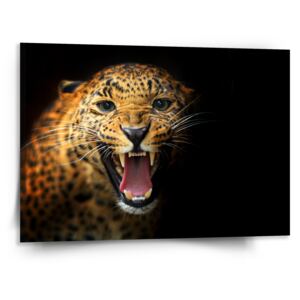 Obraz SABLO - Gepard 2 110x110 cm