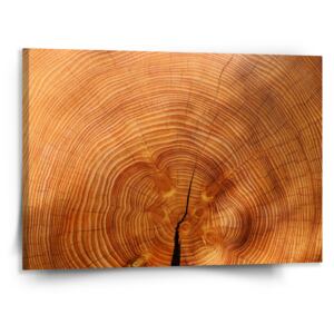 Obraz SABLO - Dřevo 2 110x110 cm