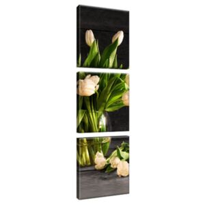 Obraz na plátně Krémové tulipány 30x90cm 1392A_3V