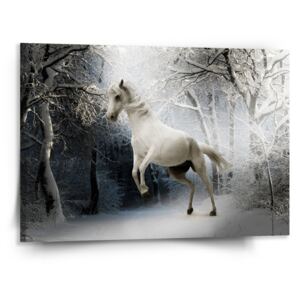Obraz SABLO - Bílý kůň 110x110 cm